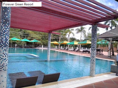Forever Green Resort