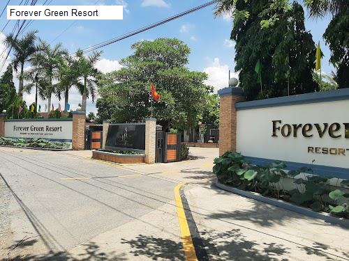 Cảnh quan Forever Green Resort